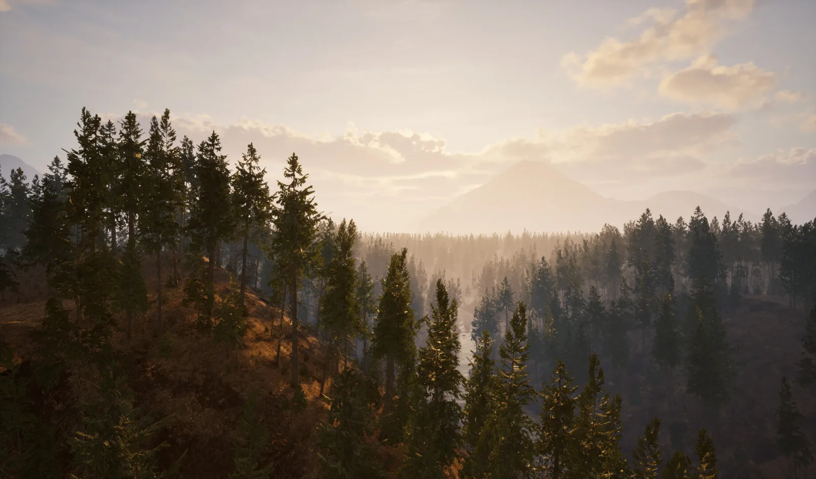 Sunrise over a forested valley with a river running through the district